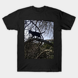 kitty in a tree T-Shirt